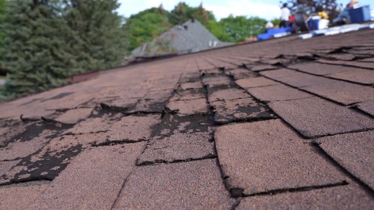 Best Emergency Roof Repair Services  in Stroville, CA