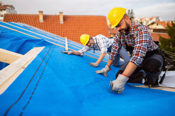 Best Roof Insulation Installation  in Stroville, CA